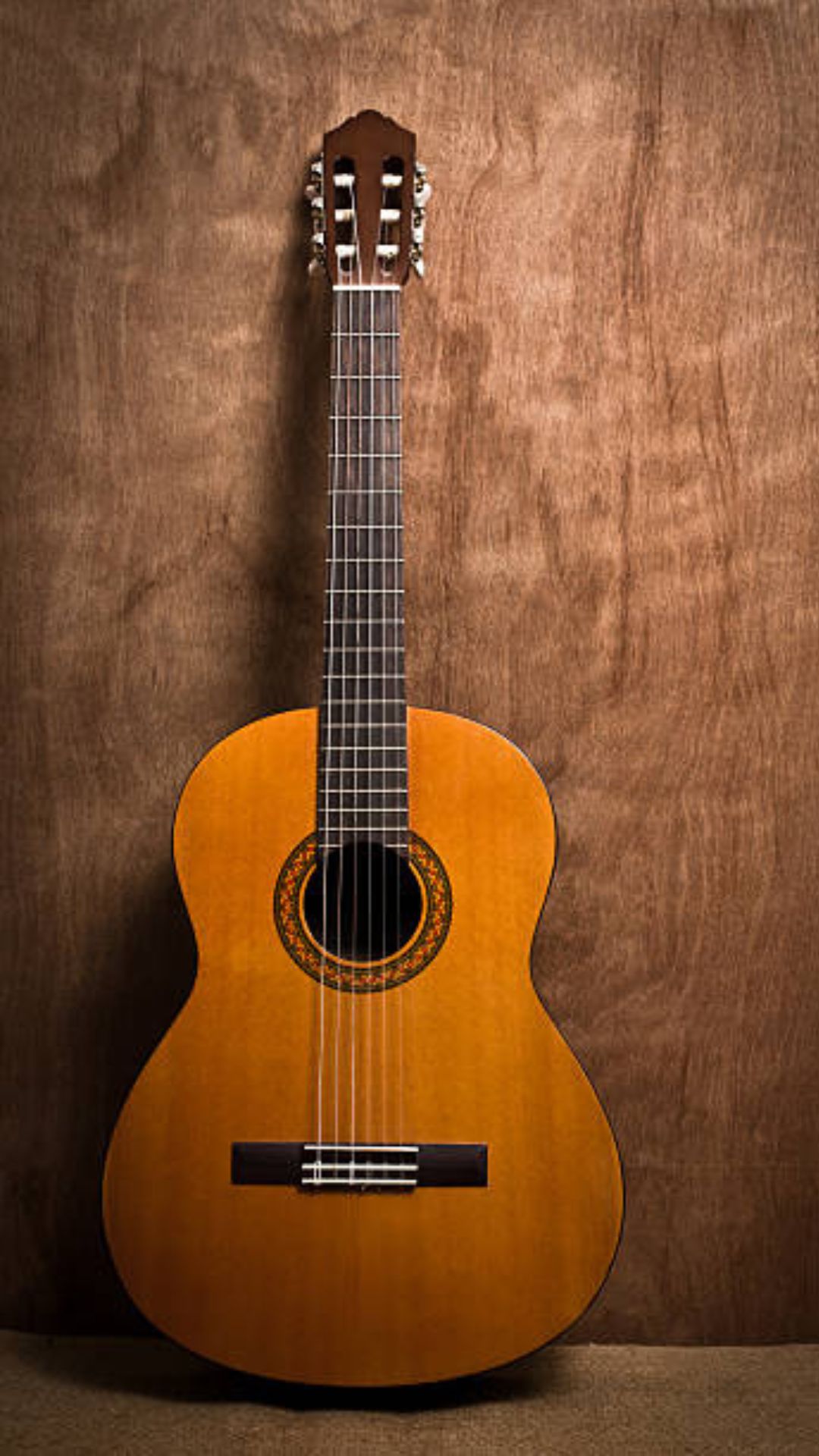 acoustic classical guitar with strings
